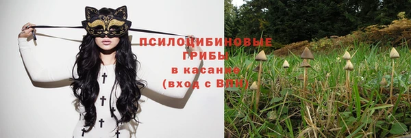 круглые Алзамай